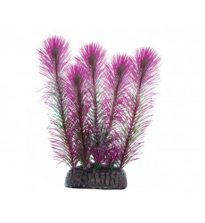 Растение Laguna (Лагуна) Перистолистник Фиолетовый 100мм 74044245
