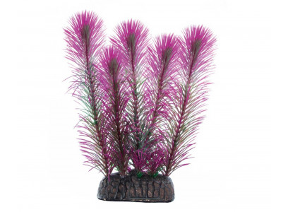 Растение Laguna (Лагуна) Перистолистник Фиолетовый 100мм 74044245