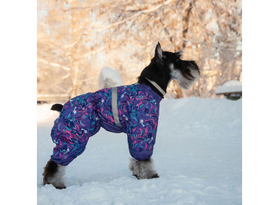 Комбинезон Зоофортуна На Синтепоне Пудель Карликовый Девочка 36см С628836