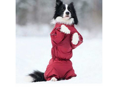 Комбинезон Osso Fashion (Оссо Фешн) Для Собак Утепленный Флисом Р 40-1 Девочка Бордо Кзф 1001