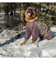Комбинезон Зоофортуна Зима Мальчик Немецкая Овчарка 70см С737770