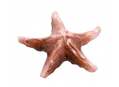 Грот Звезда Малая 11,5*11,5*3,5см Белая Глина Зарк00120 