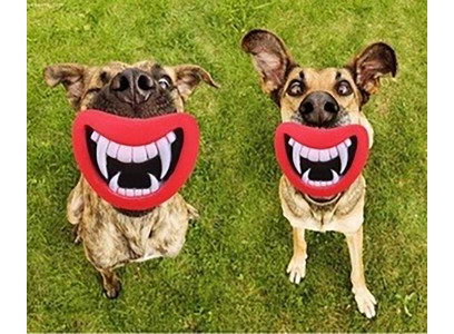 Игрушка И-4 Соска-Дракула 11см Винил Pet Fashion (Пет Фешн)