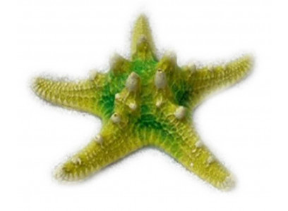 Грот Звезда Остроконечная Кр-1047н