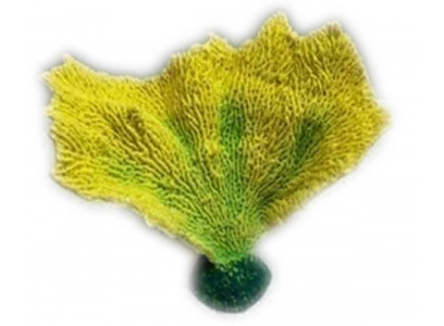 Грот Коралл Веер Кр-1447н