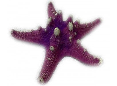 Грот Звезда Остроконечная Кр-1026н