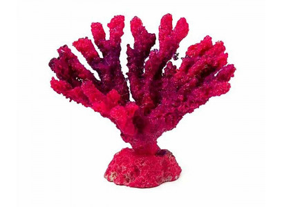 Грот Коралл Акабария Кр-326н