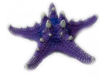 Грот Звезда Остроконечная Кр-1032н