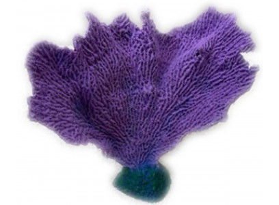 Грот Коралл Веер Кр-1432н 