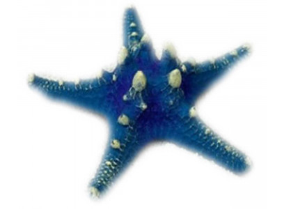 Грот Звезда Остроконечная Кр-1023н