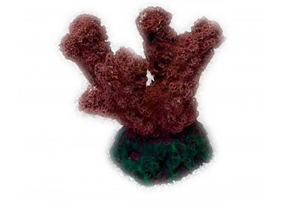 Грот Коралл Рога Кр-625н