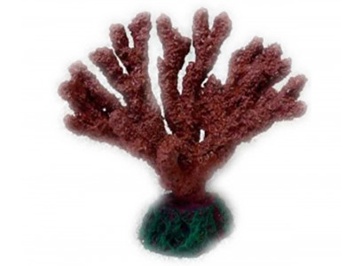 Грот Коралл Кр-325н