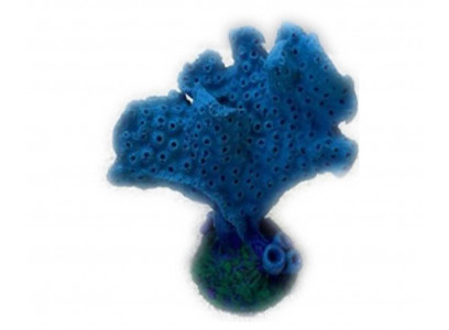 Грот Акропора Кр-1223 