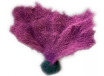 Грот Коралл Веер Кр-1426