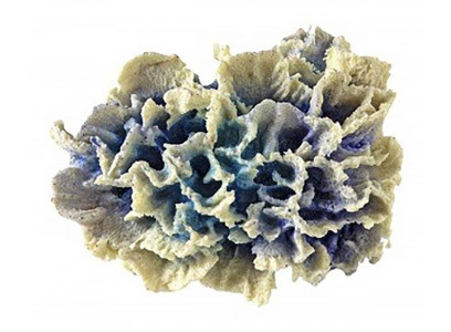 Грот Коралл Гвоздика Кр-2265 