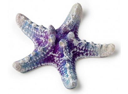 Грот Звезда Малая Белая Кр-820