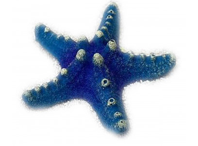 Грот Звезда Малая Синий Кр-823