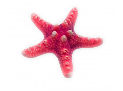 Грот Звезда Малая Красный Кр-825 