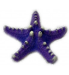 Грот Звезда Малая Фиолетовая Кр-832
 