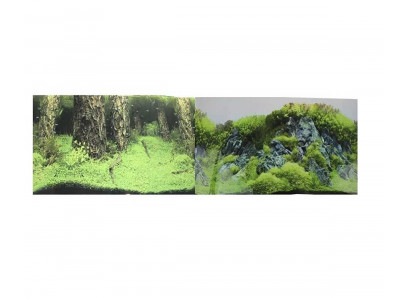 Фон Pr-040805 Двухсторонний Затопленный Лес/Камни с Растениями 30*60см