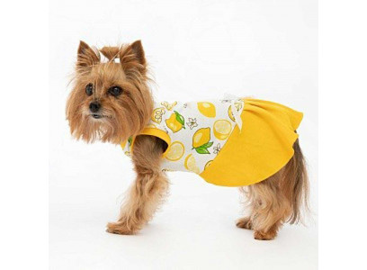 Платье Osso Fashion (Оссо Фешн) для Cобак Маленькая Кокетка 32 Лимоны Тпк-1055