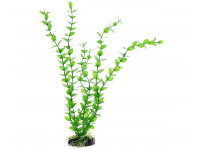 Растение Barbus (Барбус) Plant Бакопа Зеленая 10см Пластик 160987