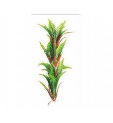 Растение Barbus (Барбус) Plant 027/10 Папоротник 10см Пластик 161625
