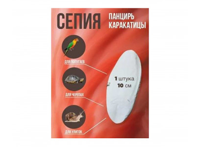 Панцирь Каракатицы Sepia (Сепия) 004991 12,7см