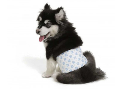 Подгузники Fofos (Фофос) Впитывающие Для Кобелей S 19-37см 12шт Dcf18573 