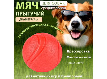 Игрушка Nunbell (Нанбелл) Для Собак Мяч Пружинистый Термопластичная Резина 7см  10920-0031 160г 