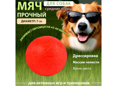 Игрушка Для Собак Мяч Утяжеленный Термопластичная Резина 10922-0217 195г 7см 