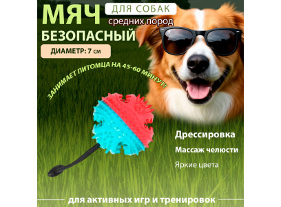 Игрушка Для Собак Мяч с Ручкой Eva/Полиэстр 10922-3781 7см 