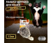 Игрушка Для Кошек Fofos (Фофос) Мышь Шумелка Интерактивная 12*4см Dcf18366 