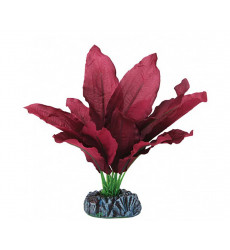 Растение Laguna (Лагуна) Криптокорина 130мм Шелковое 74044207