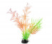 Растение Laguna (Лагуна) Композиция Светящееся Розовое 120мм 74044217 