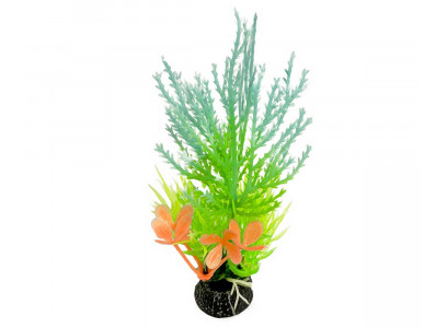 Растение Laguna (Лагуна) Композиция Светящееся Бирюзовое 120мм 74044218 