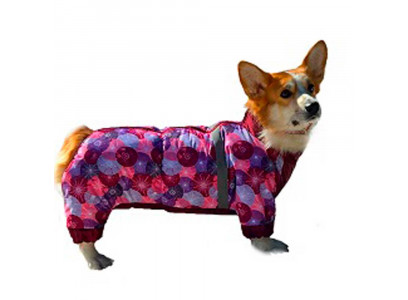 Комбинезон Зима Девочка Вельш Корги Пемброк 46см С698846