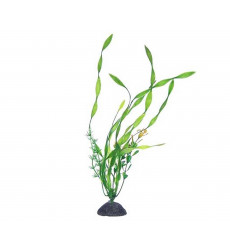 Растение Naribo (Нарибо) Циперус 23см Nr-Js8-110 Пластик