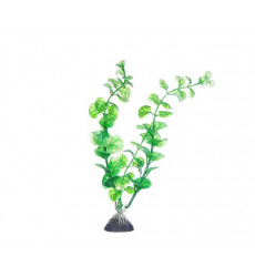 Растение Naribo (Нарибо) Щитолистник 22см Nr-Jj8-110 Пластик