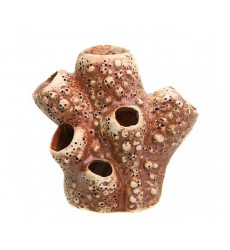 Грот Актиния 57 13*9,5*14см 980058