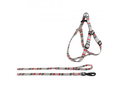 Комплект Brava (Брава) Нейлон Дизайн №20 Шлея Средняя+Поводок 1,5м Арт751