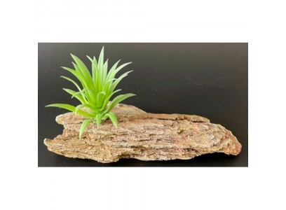 Грот Камень Мадагаскар К-3/5