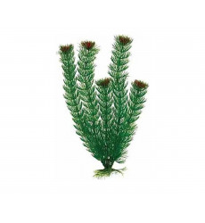 Растение Barbus Plant (Барбус Плэнт) 055/10 Амбулия 10см Пластик 162189