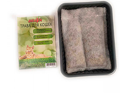 Brava (Брава) Травка Для Проращивания Без Земли 100г Лоток Новинка 