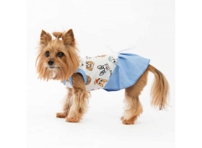 Платье Osso Fashion (Оссо Фешн) Для Cобак Маленькая Кокетка 22 Good Dog Тпк-1058