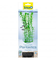Растение Tetra (Тетра) Decoart Plant M Anacharis 23см 270350 