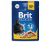 Влажный Корм Brit (Брит) Premium Для Кошек Лосось и Форель в Соусе 85г (1*14) 5048854 