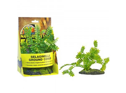 Растение Zoo Med (Зоо Мед) Селагинелла На Камне, Искусственное, Bu-43e