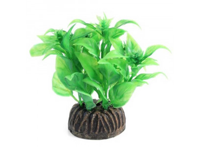 Triol (Триол) Растение 8см Альтернантера Зеленая Для Аквариума, М/Уп (Уп500) 74044104 294.9676