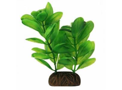 Triol (Триол) Растение 10см Самолюс Зеленый Для Аквариума, М/Уп (Уп250) 74044110 294.9681